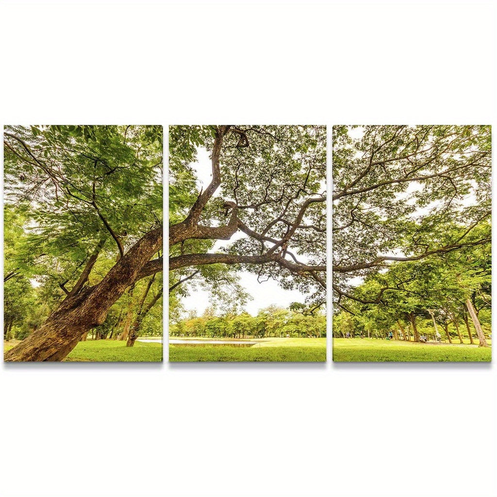 3 Pcs Frame Landscape Nature Art Decorative Painting For Dining Room Modern Environment Bedroom Office Canvas Wall Hall Decoration Studio