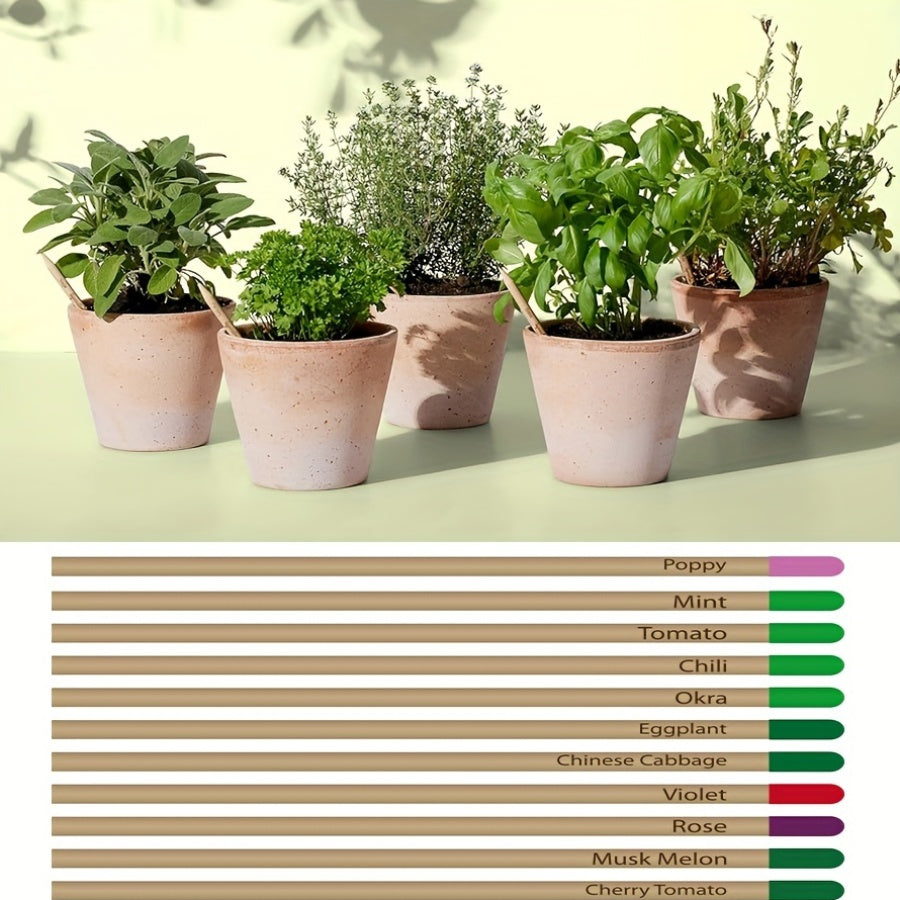 Plantable Wooden Pencil with Herb Seeds - Eco-Friendly Graphite Writing Pens with Flower Fruits - Sustainable Organic Gift for Gardeners and Writers